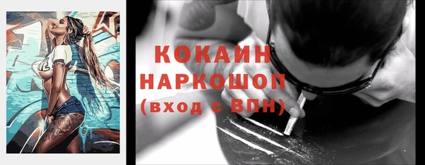 стаф Данков