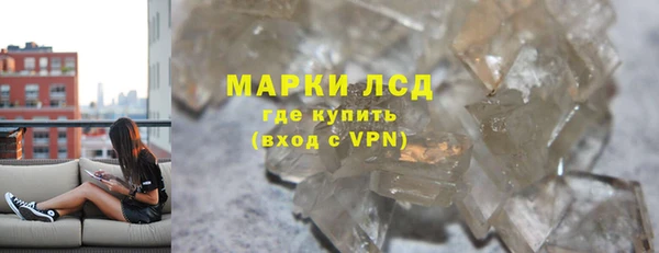 прущие грибы Абинск