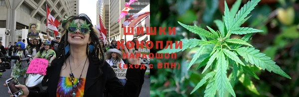 твердый Дедовск