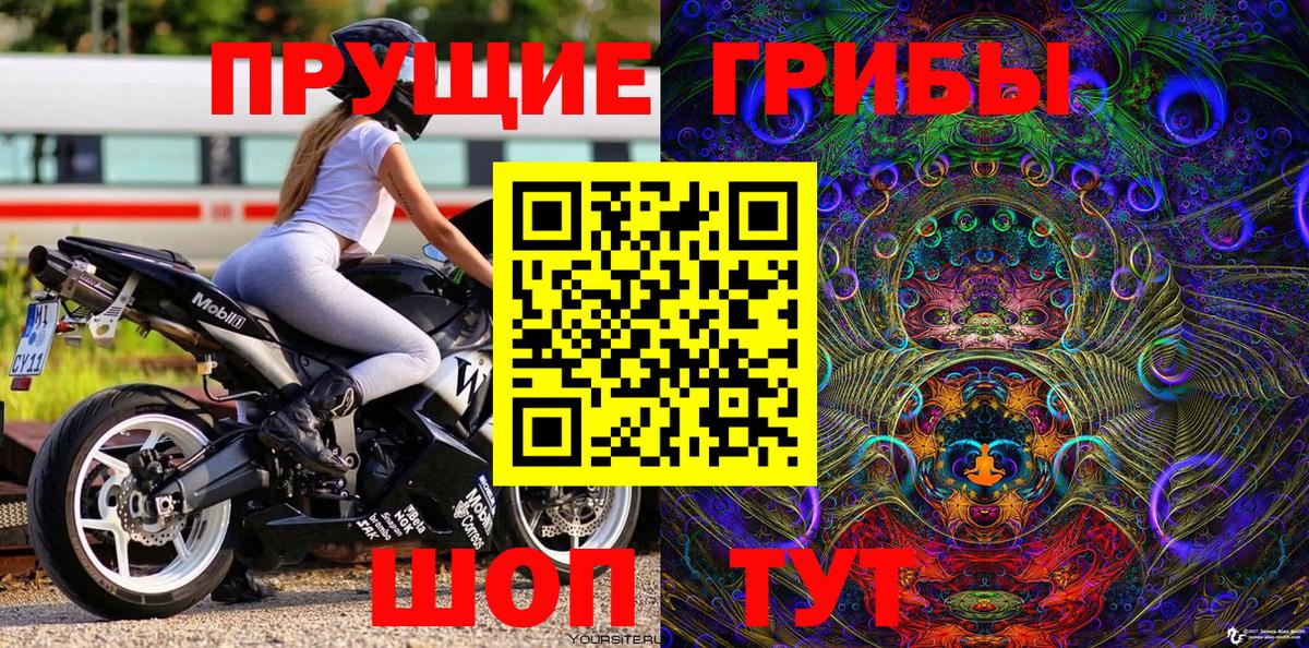 Псилоцибиновые грибы прущие грибы  Вход с VPN  наркотики  Заводоуковск 